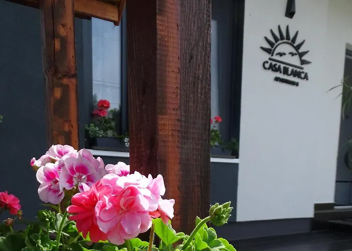 Casa Blanca Ii 펜션 발라톤페니베스